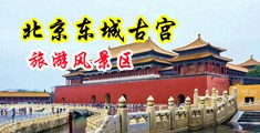 www.露出调教中国北京-东城古宫旅游风景区
